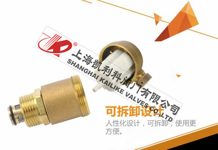 AVAX自動(dòng)排氣閥可拆卸設(shè)計(jì)