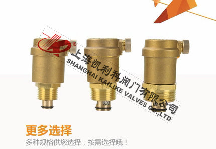 AVAX自動(dòng)排氣閥選擇